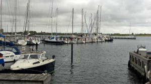 WP_20150514_08_33_17_Pro