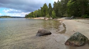 WP_20150620_13_19_53_Pro