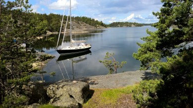 WP_20150622_10_31_28_Pro